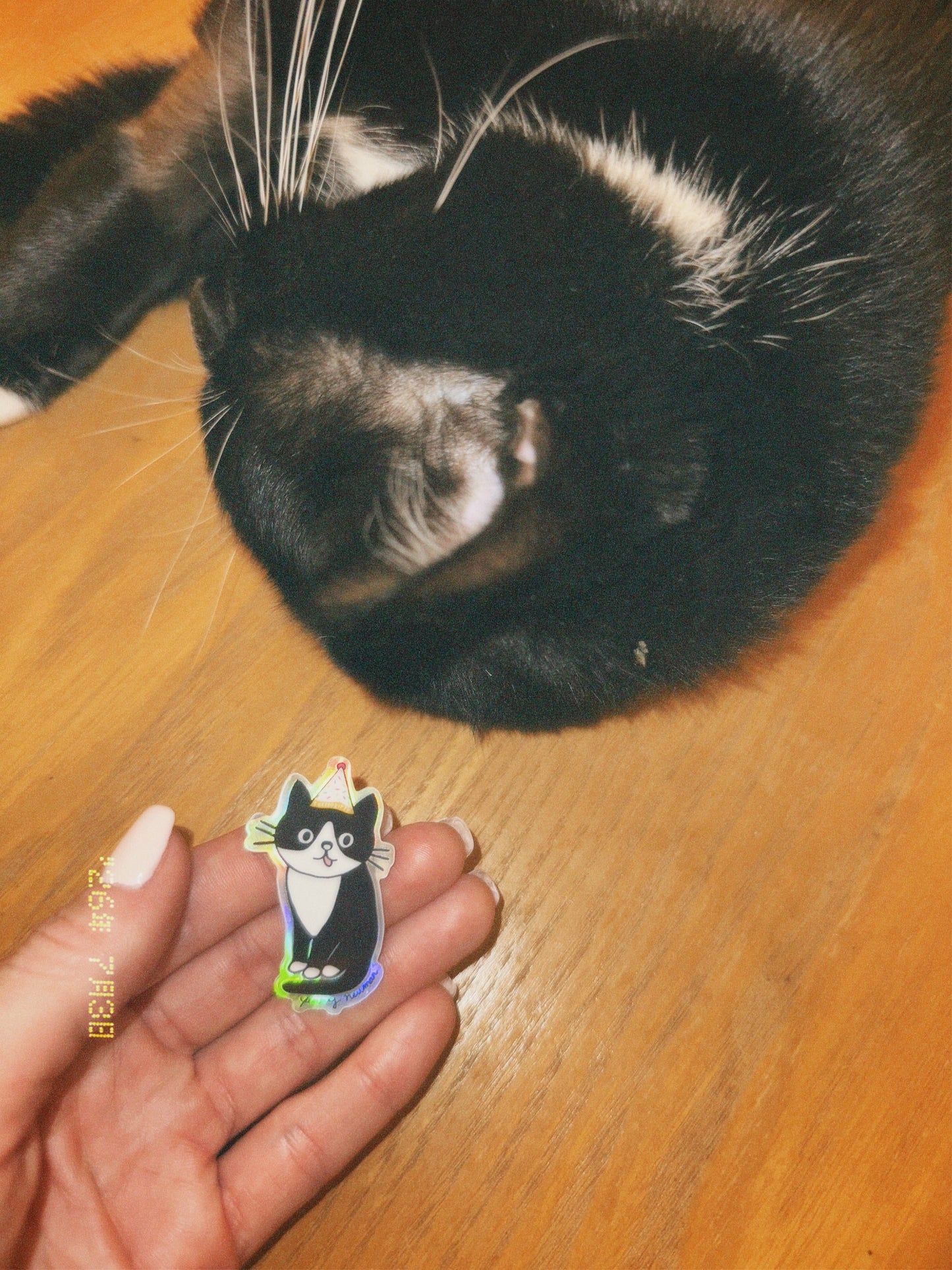 Tuxedo Kitty Sticker